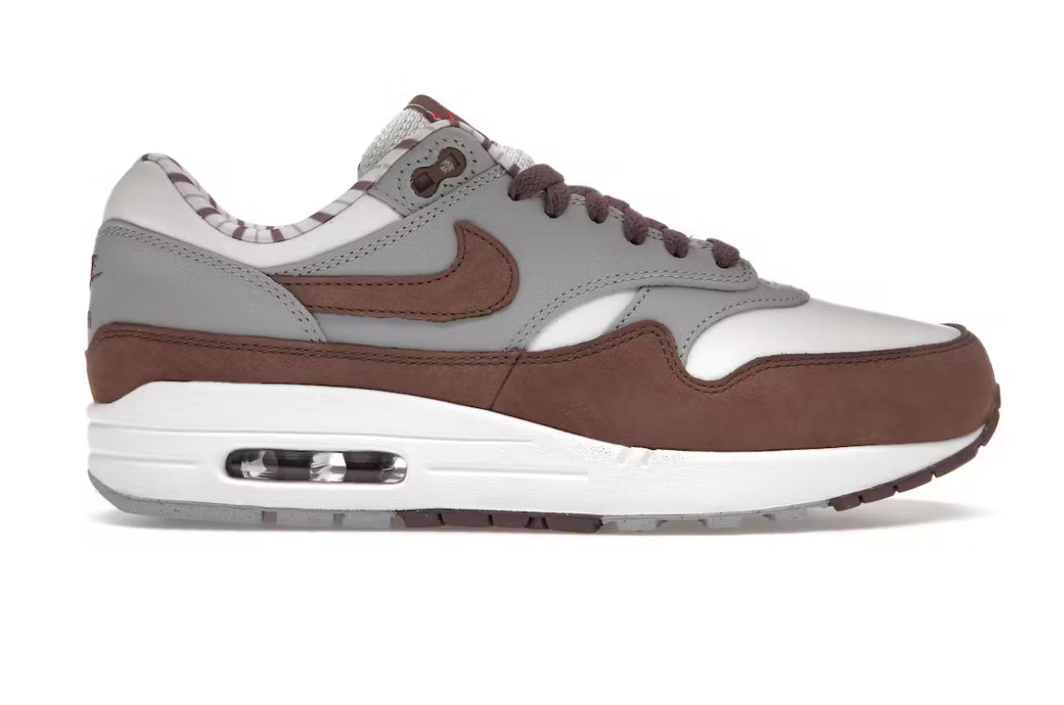 Nike Air Max 1 Premium Shima Shima (2023)