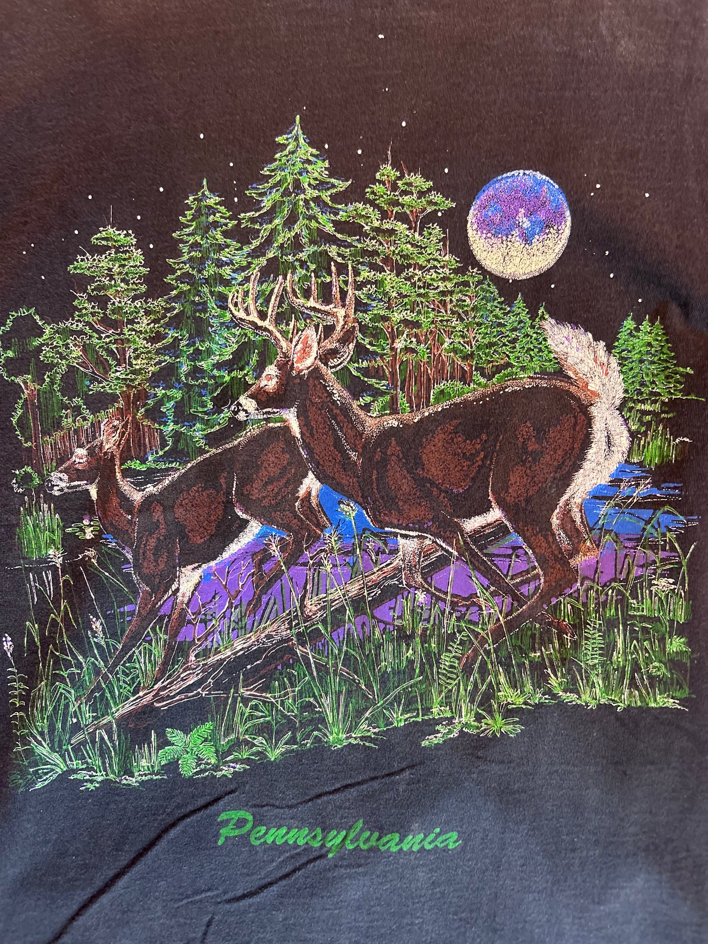 Vintage Pennsylvania T-Shirt