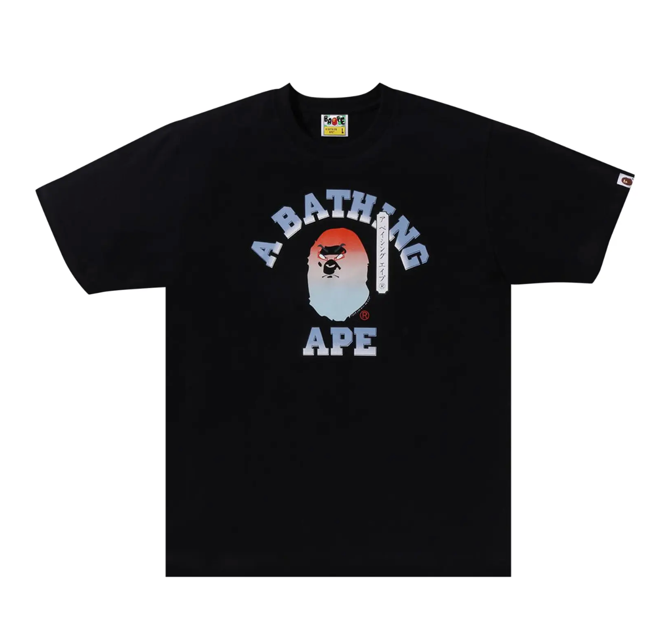 Japan Souvenir Tee Black