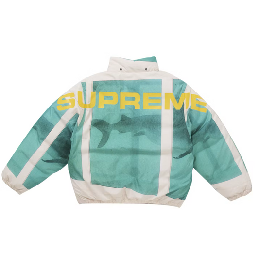 Supreme damien hirst down jacket
