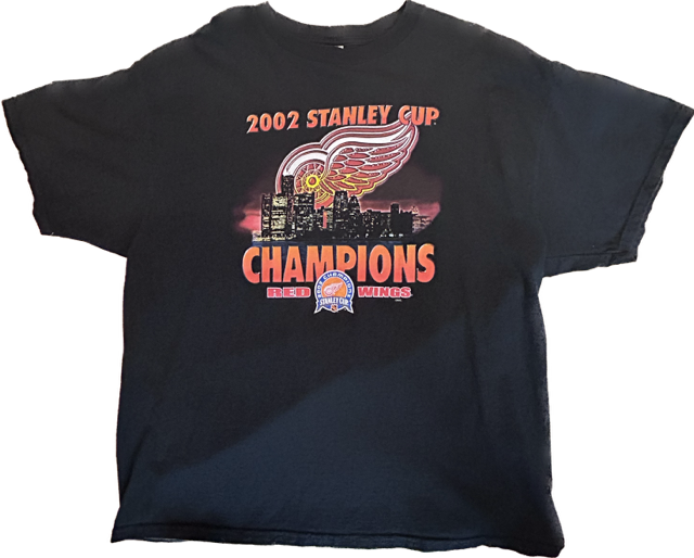 Vintage Detroit Red Wings Championship T-Shirt￼