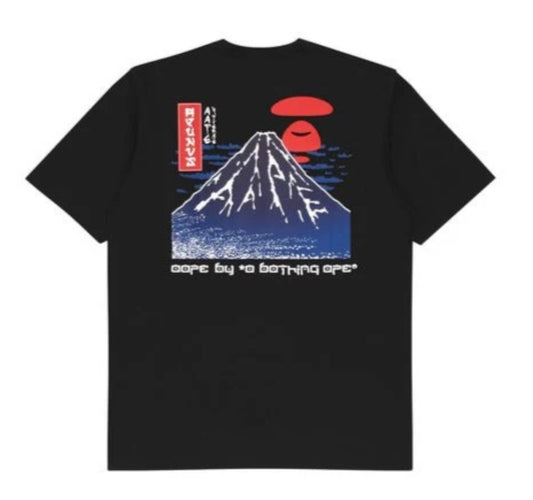 AAPE exclusive Japan mountain T-shirt