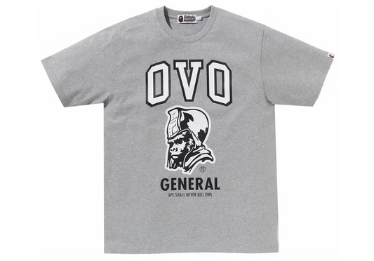BAPE x OVO General Tee Grey