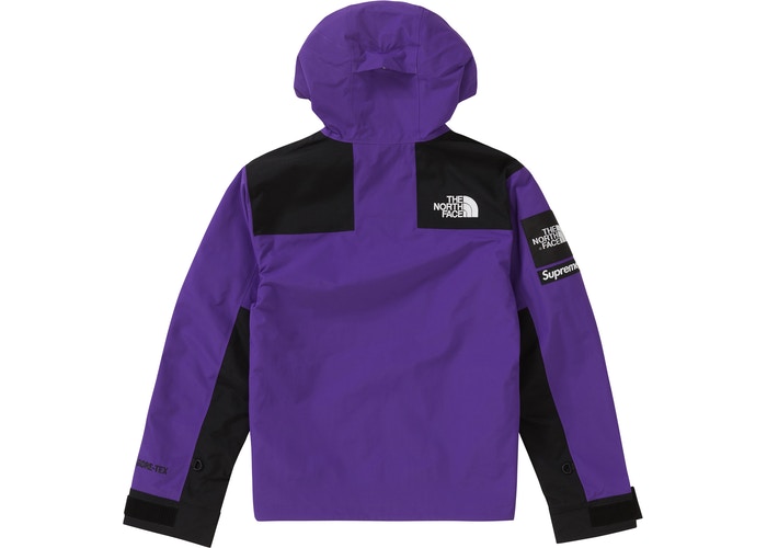 Supreme The North Face Arc Logo Mountain Parka Purple