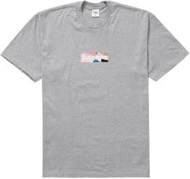 Supreme Emilio Pucci Box Logo Tee White/Dusty Pink
